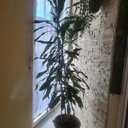 Apartment Casa Hanna2 *